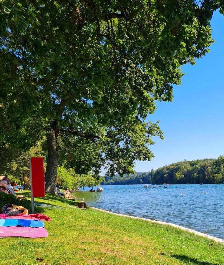 Ferienwohnung Rheinblick In Buesingen -Keine Monteure- Busingen Extérieur photo