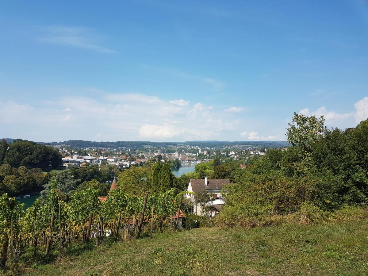 Ferienwohnung Rheinblick In Buesingen -Keine Monteure- Busingen Extérieur photo