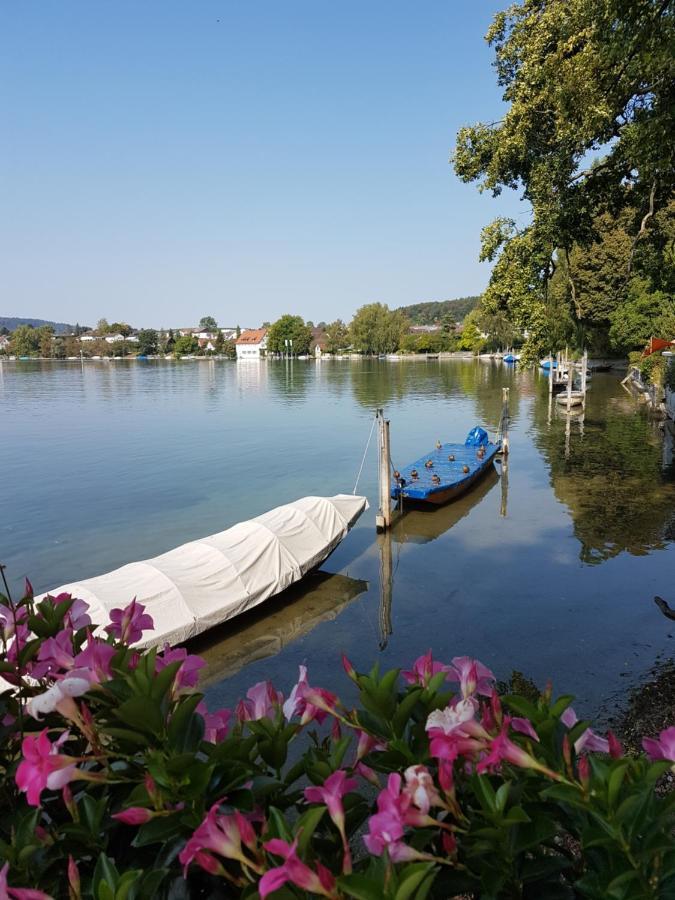 Ferienwohnung Rheinblick In Buesingen -Keine Monteure- Busingen Extérieur photo