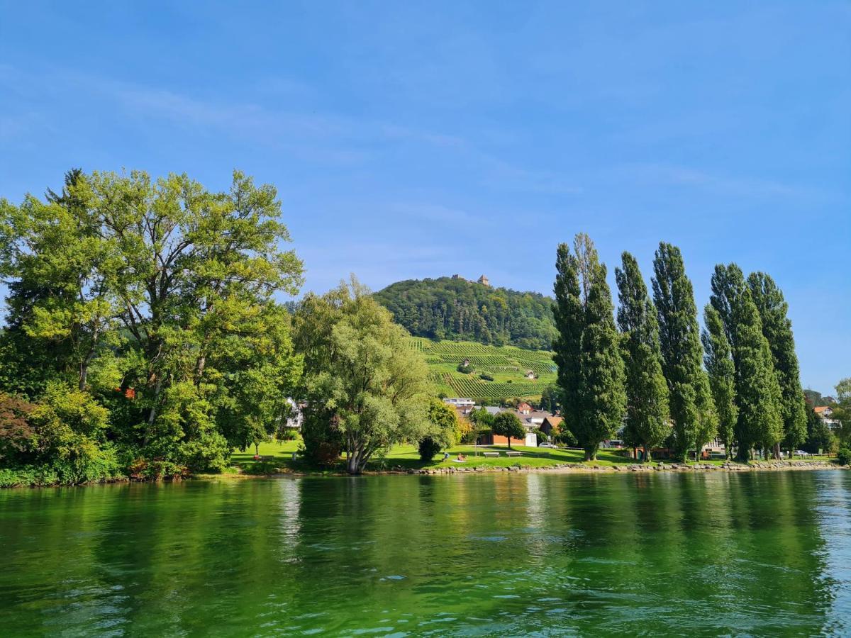 Ferienwohnung Rheinblick In Buesingen -Keine Monteure- Busingen Extérieur photo