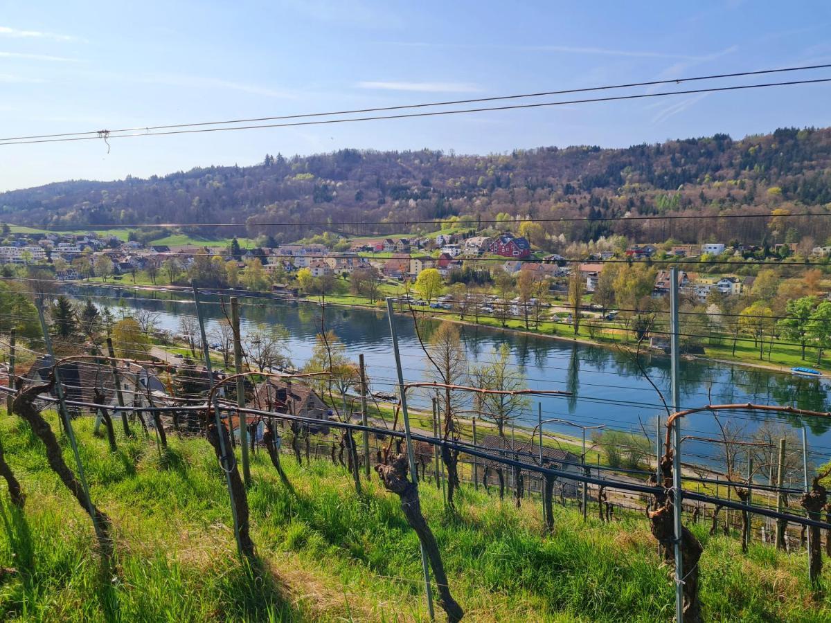 Ferienwohnung Rheinblick In Buesingen -Keine Monteure- Busingen Extérieur photo