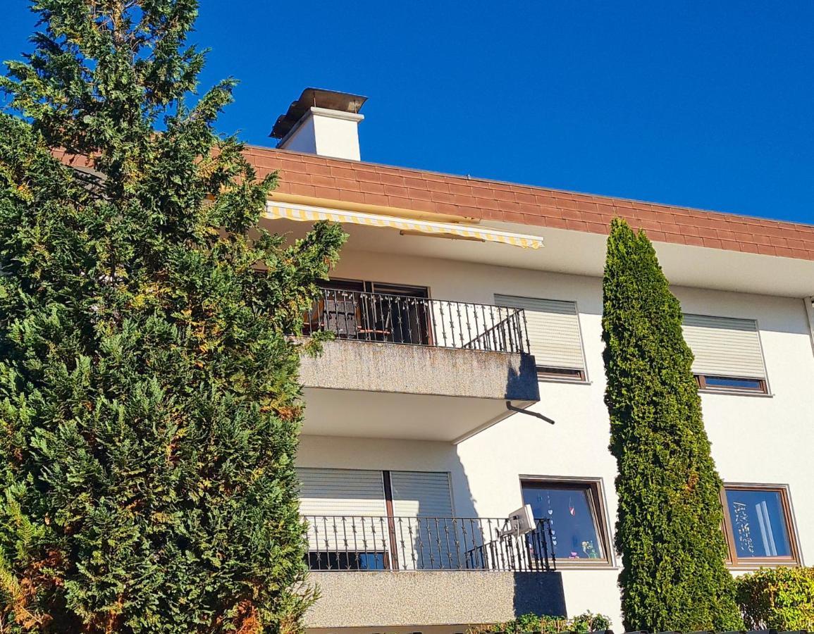 Ferienwohnung Rheinblick In Buesingen -Keine Monteure- Busingen Extérieur photo