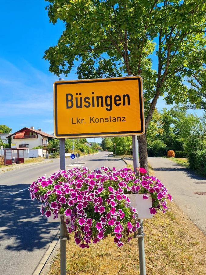 Ferienwohnung Rheinblick In Buesingen -Keine Monteure- Busingen Extérieur photo